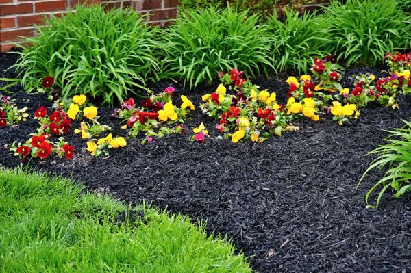 Apartment Mulching in Kennewick