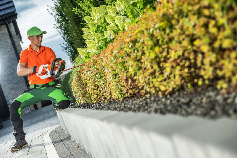 Shrub Care Service