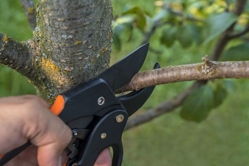 Tree Straightening Service