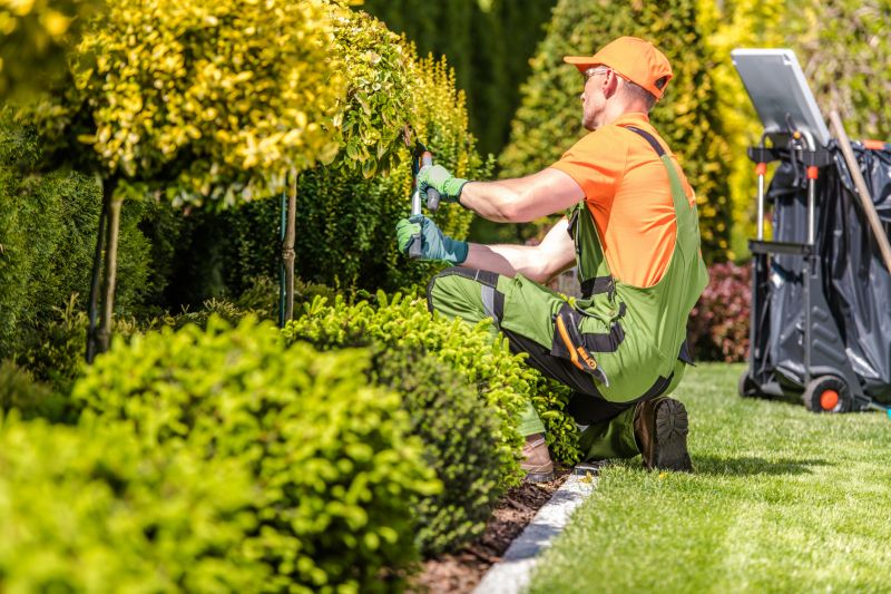 Timing Your Landscaping Project